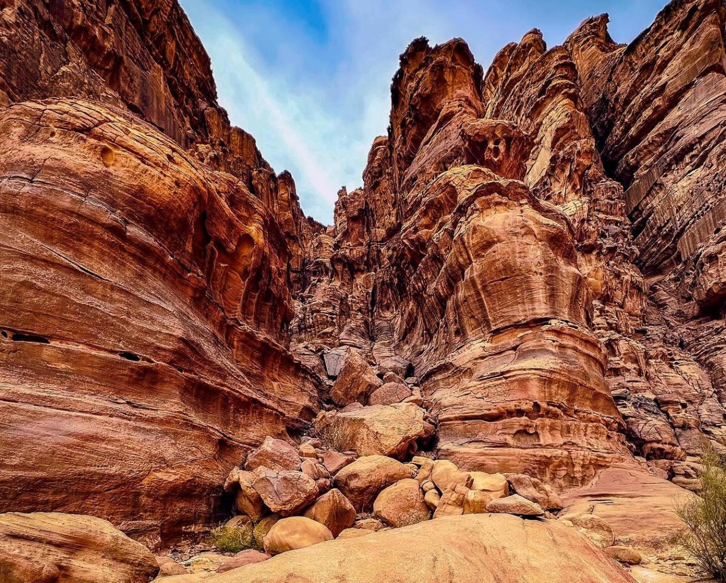 Flower Life Camp Wadi Rum Exterior foto